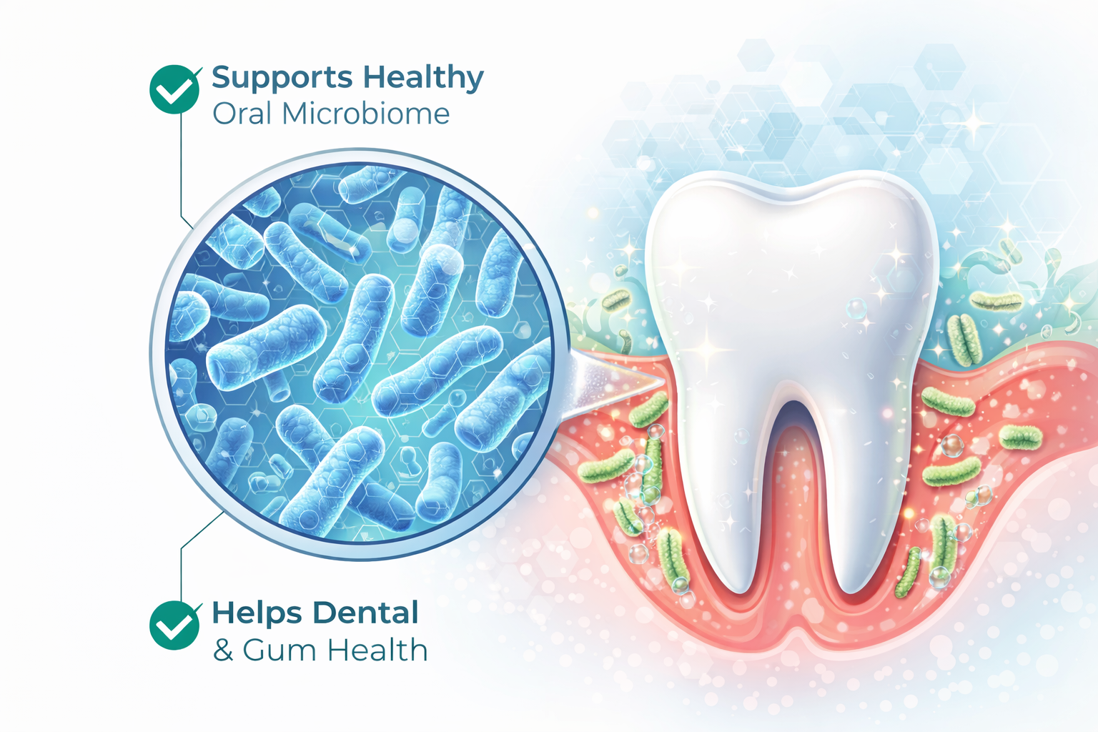 Close-up illustration of probiotic bacteria improving oral microbiome and dental health